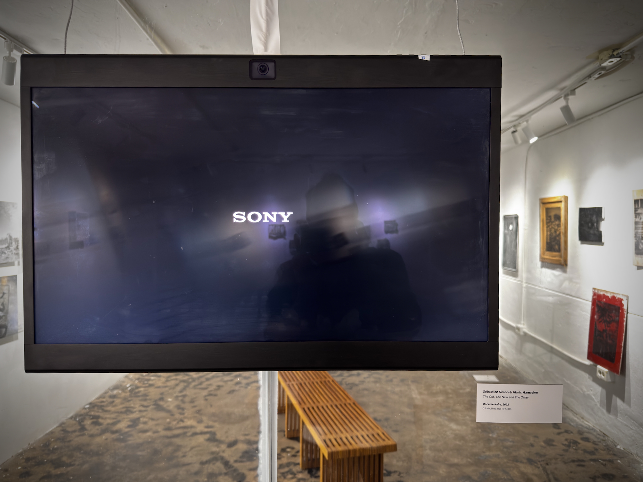 Sony ELF-SR2 Spatial Reality Display installed in a gallery
